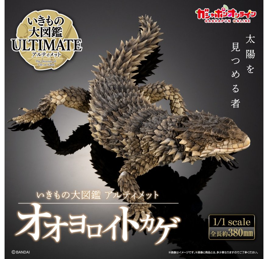 楽天市場】ねんどろいど アムネシア ウキョウ 「アクリルスタンド