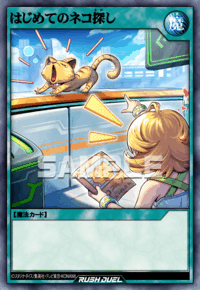 任務完了 | カード詳細 | 遊戯王ニューロン ( ラッシュデュエル カード