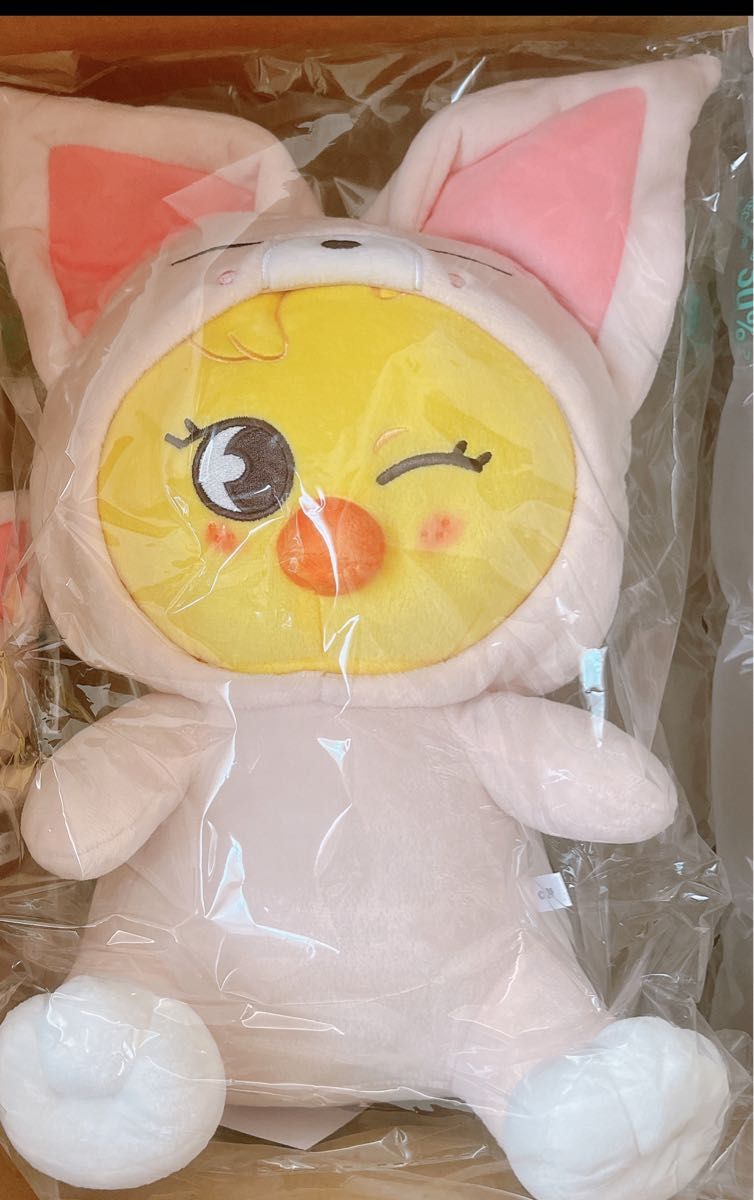 BbokAri ポガリ SKZOO TOY WORLD トイワールド 抱きぬいぐるみ Stray