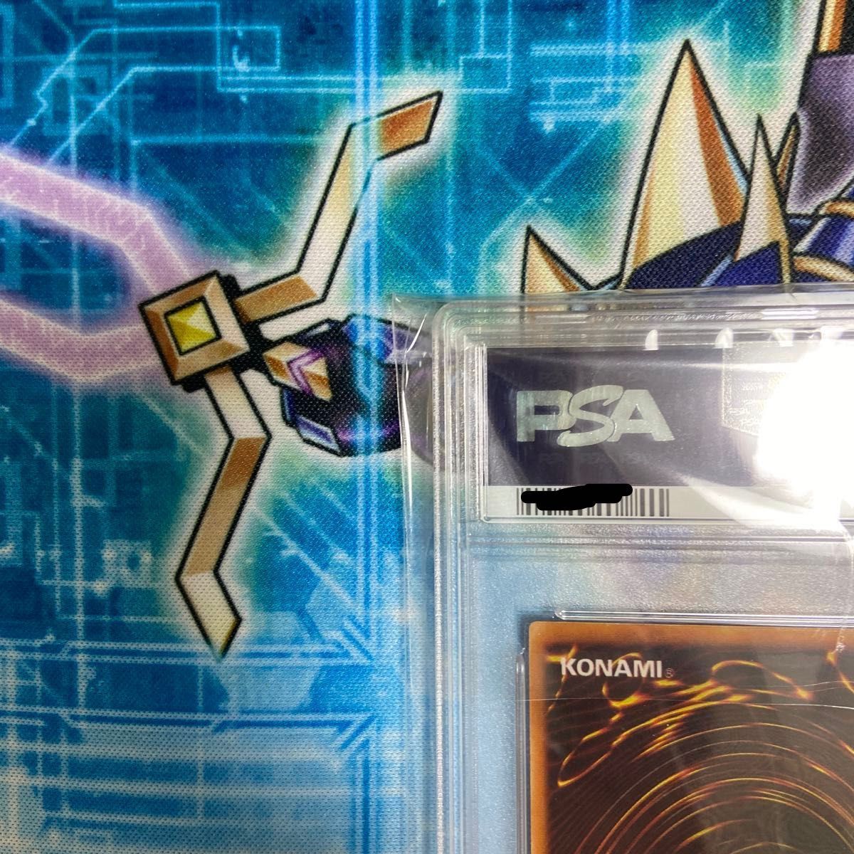 ブルーアイズ・ホワイト・ドラゴン GEM MINT 10 PSA10 ブルーアイズ