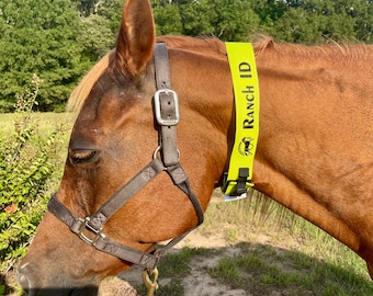 ハンドメイドレザーの馬用牧草地首輪、繁殖牝馬識別 - Etsy 日本