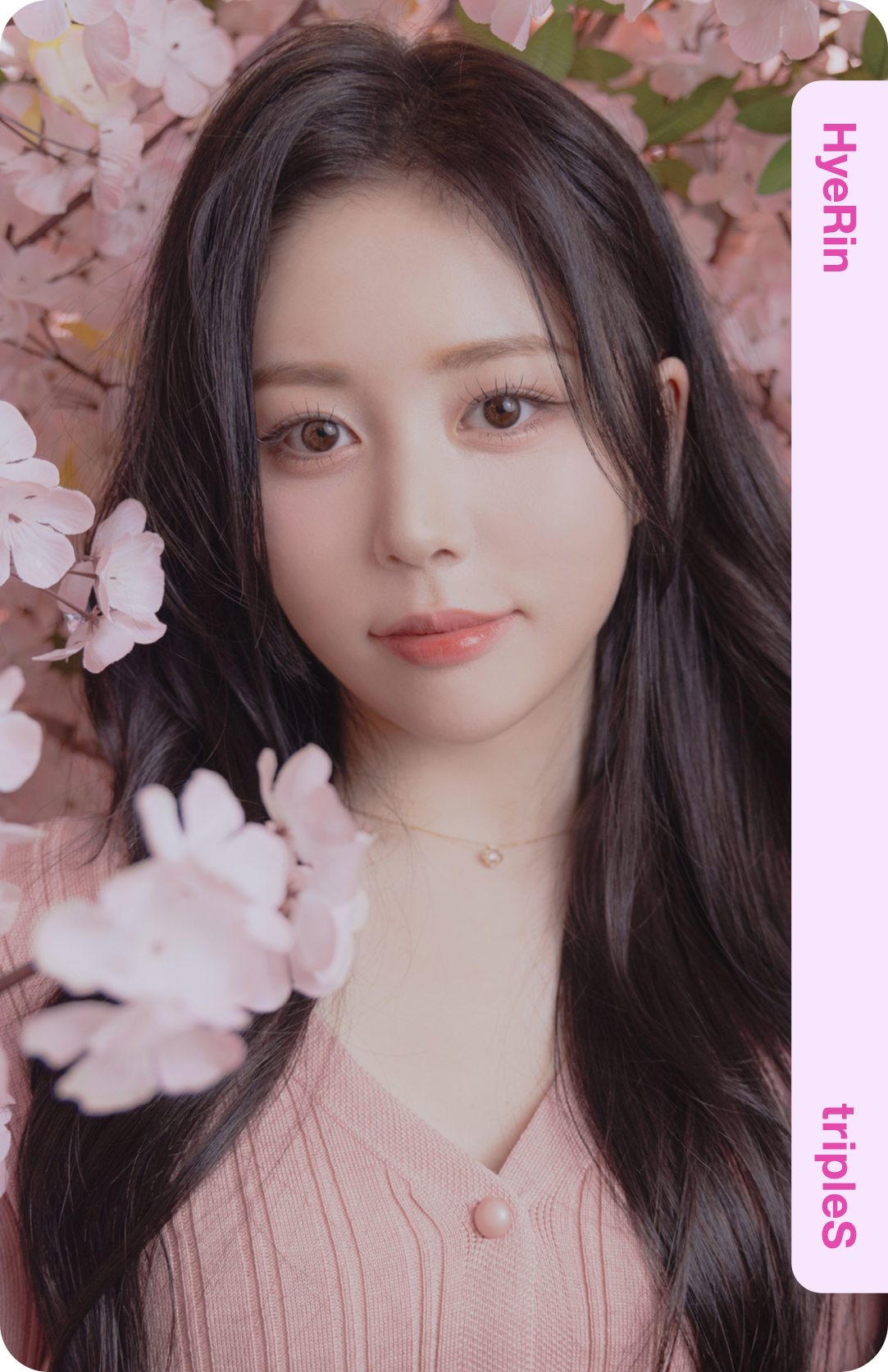240327 tripleS : Cherry Blossom Double Class Objekt (Collection