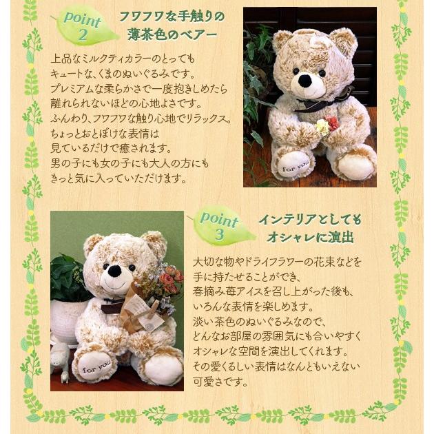 ホワイトデー ギフト ぬいぐるみスイーツ 春摘み苺アイス＆ベアー