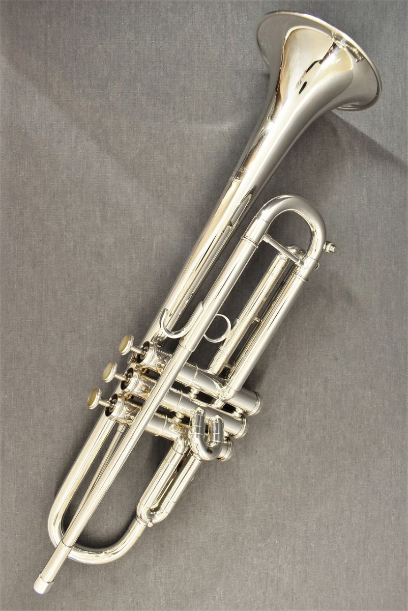 Eterna | 【クロサワ楽器店オンラインショップ】いい楽器とのいい