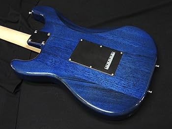 Amazon | SCHECTER OL-ST-22-MH STB R シェクター ストラトタイプ