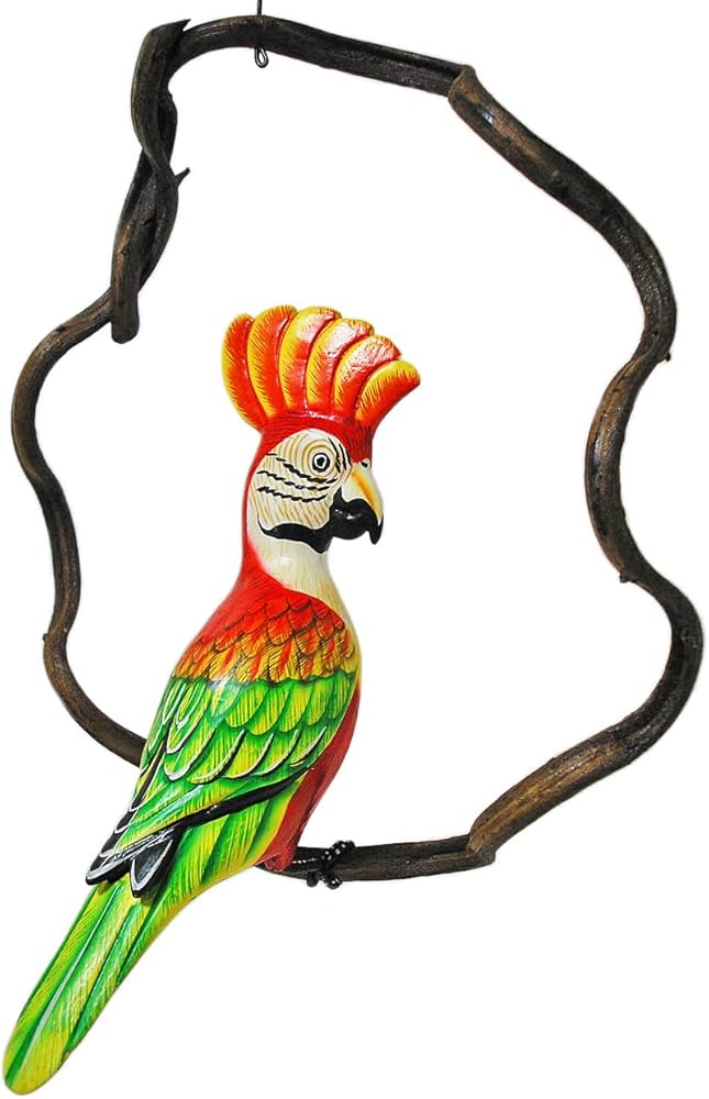 Amazon.co.jp: 南国のカラフルバード 吊り下げ 木の枠 F［鳥体長約