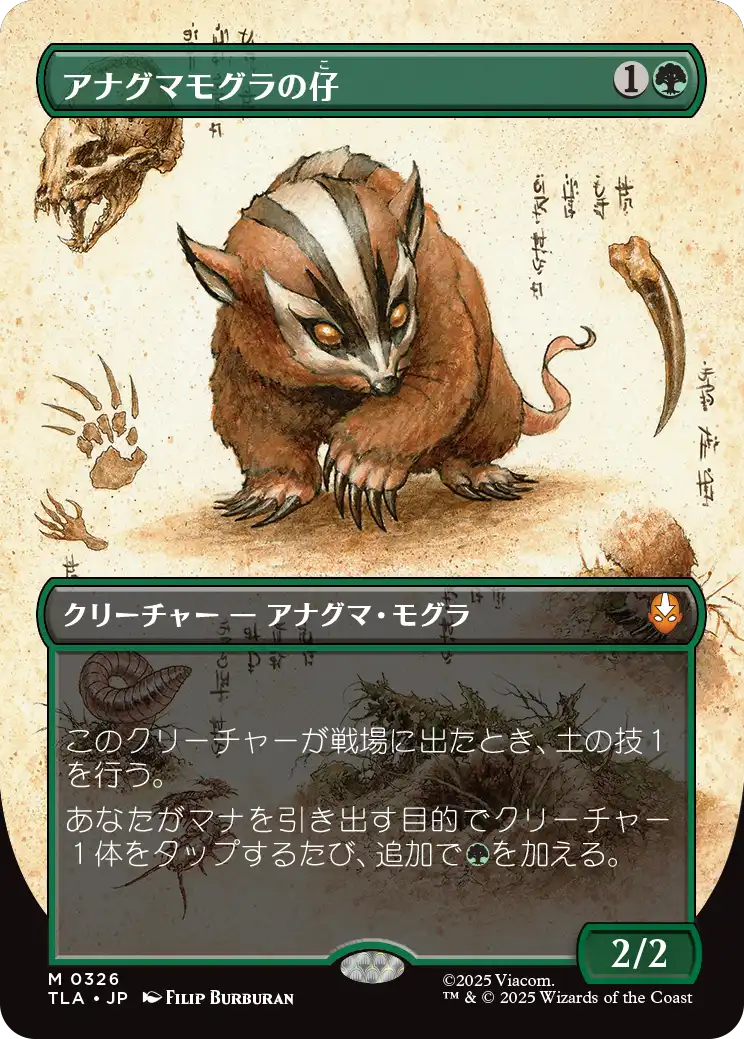 MTG専門店|東京MTG】MTGカード・アート通販サイト