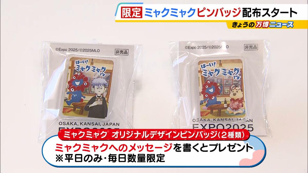 新品】JR東日本·限定品3点セット(ト―トバック·ピンバッチ·スマート立て