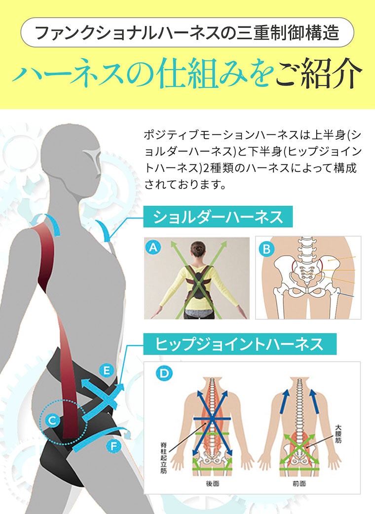 ファンクショナルハーネス、革新のサポートウェア登場！｜医療機器