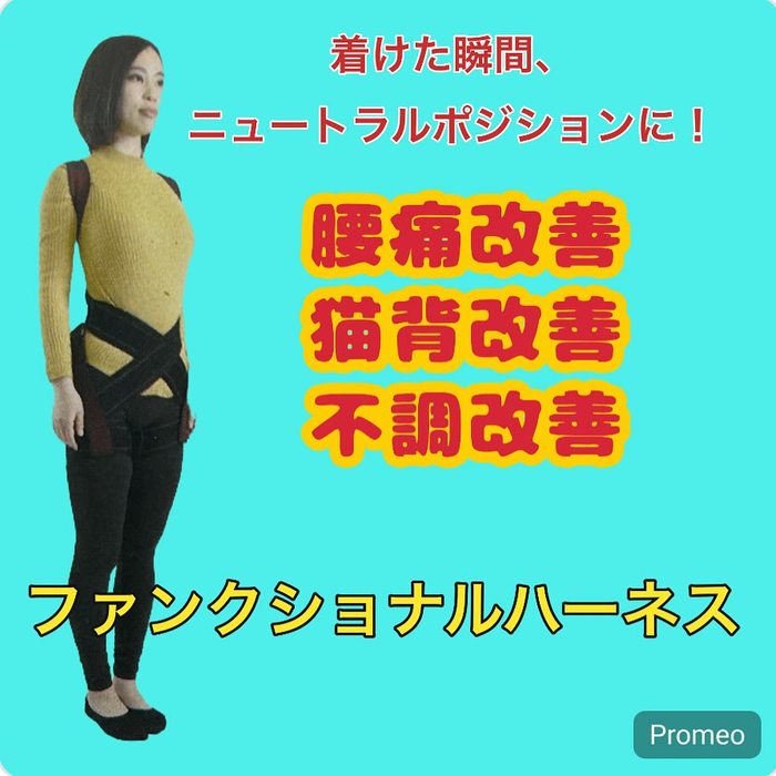 ファンクショナルハーネス」は医療機器として厚生労働省から認