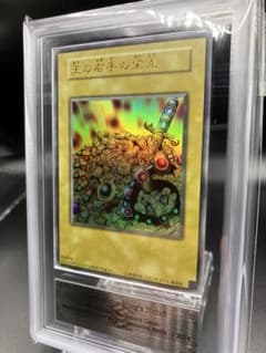 鑑定書付】 ARS10+ 遊戯王 賜炎の咎姫 シク | Shop at Mercari from