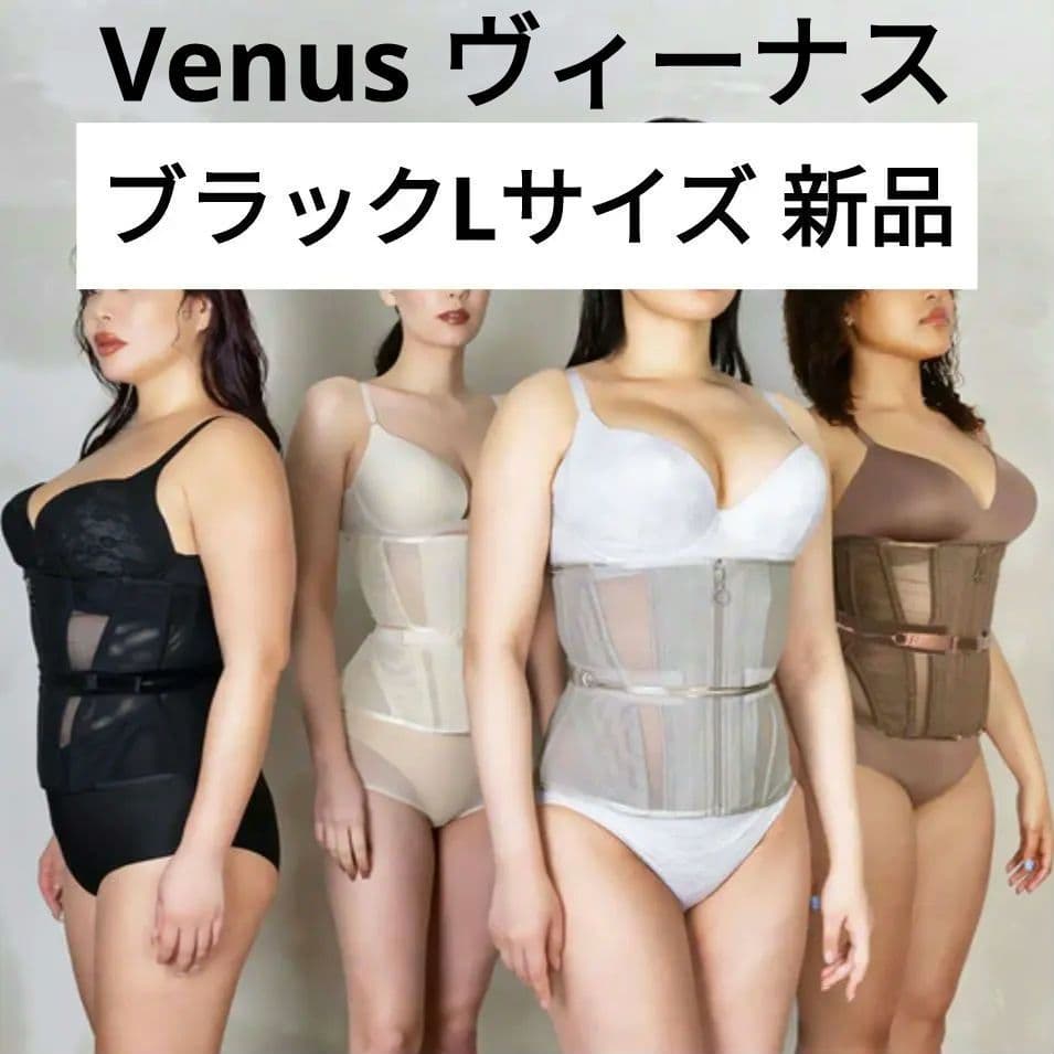 ✨新品 Enchanted Corset ヴィーナス コルセット L ブラック