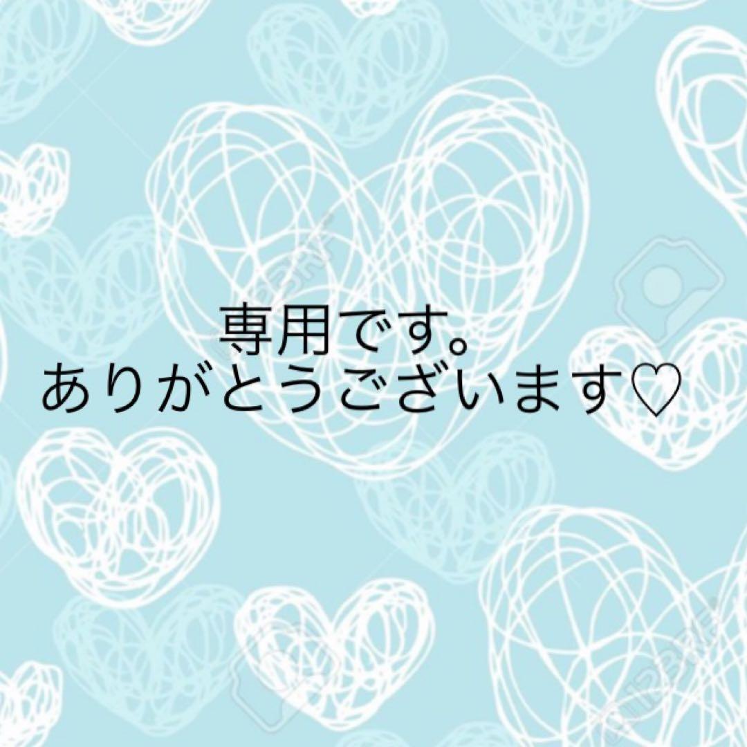 専用ページです。 dbbad366163c2d6b275a653d79744f