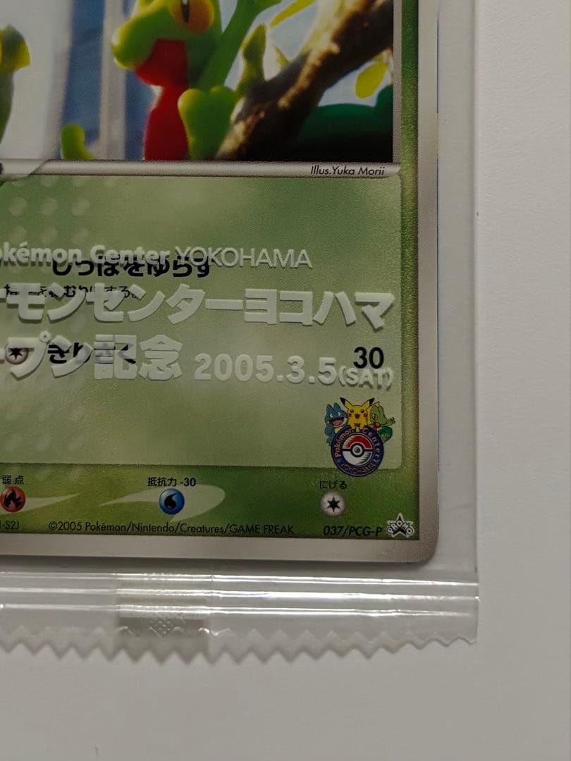 キモリ 037/PCG-P 2004 ポケモンセンター - メルカリ