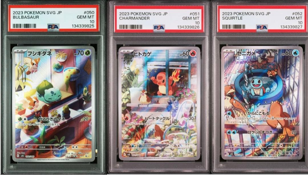 3連番 PSA10 フシギダネ AR ヒトカゲ AR ゼニガメ AR プロモ ⑦ 全てPSA10】 3連番 フシギダネ ヒトカゲ ゼニガメ AR プロモ 【公式通販】